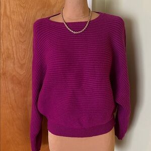 Express sweater size medium